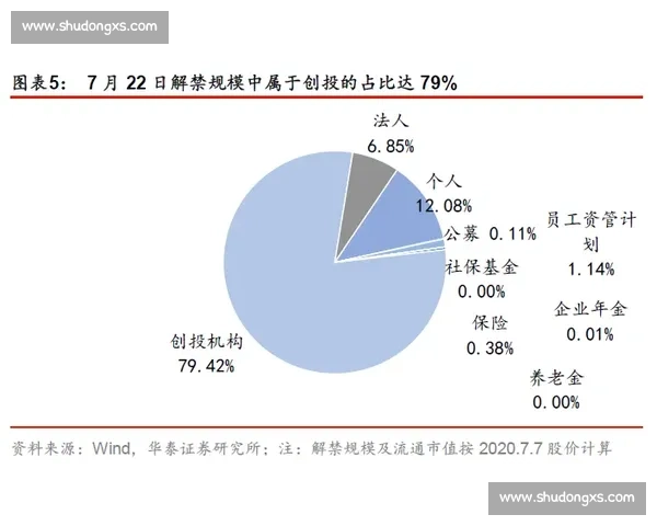 副队长在团队中的领导力与协调作用分析及其对团队发展的影响